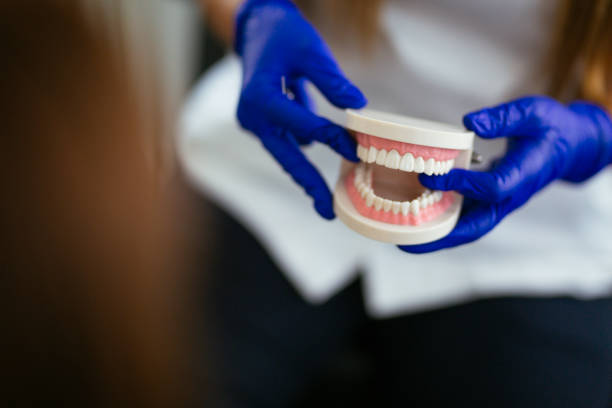 Best Traditional Braces  in Llington, MI